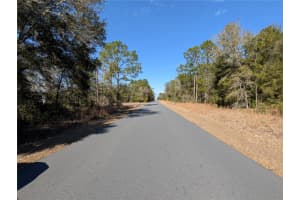 SW SOUNDVIEW DR, DUNNELLON, FL 34431 - MLS#MFRTB8471023