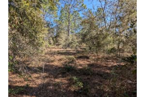 SW SOUNDVIEW DR, DUNNELLON, FL 34431 - MLS#MFRTB8471023