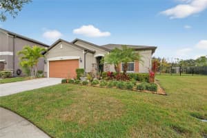 5242 FALLEN LEAF DRIVE, RIVERVIEW, FL 33578 - MLS#MFRTB8471045