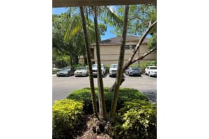 805 NORMANDY TRACE ROAD, TAMPA, FL 33602 - MLS#MFRTB8471057