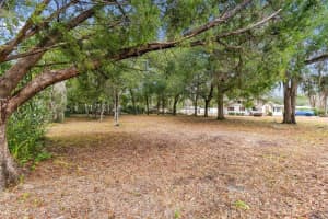 5501 LIVE OAK LANE, INVERNESS, FL 34453 - MLS#MFRTB8471066