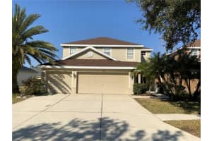 9328 MANDRAKE COURT, TAMPA, FL 33647 - MLS#MFRTB8471071