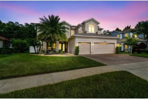 8542 Eagle Brook Dr, LAND O LAKES