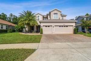 8542 EAGLE BROOK DRIVE, LAND O LAKES, FL 34638 - MLS#MFRTB8471072