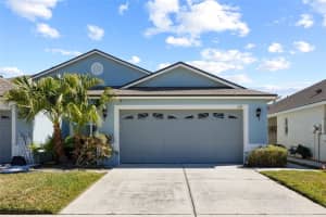 1118 Wright Swynde Ct, WESLEY CHAPEL