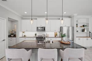 6830 CITRUS CREEK LANE, TAMPA, FL 33625 - MLS#MFRTB8471163