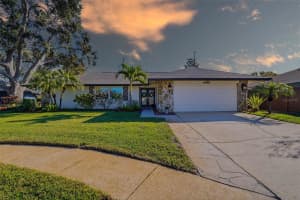 10099 Linden Place Dr, SEMINOLE