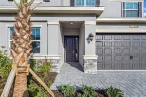 3442 GREAT BANYAN WAY, WESLEY CHAPEL, FL 33543 - MLS#MFRTB8471196
