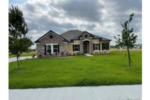 10067 DOLPHIN GULL CIRCLE, THONOTOSASSA, FL 33592 - MLS#MFRTB8471209