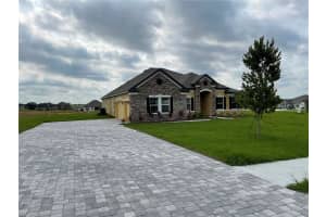 10067 DOLPHIN GULL CIRCLE, THONOTOSASSA, FL 33592 - MLS#MFRTB8471209