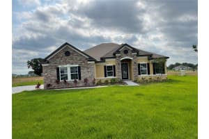 10067 DOLPHIN GULL CIRCLE, THONOTOSASSA, FL 33592 - MLS#MFRTB8471209