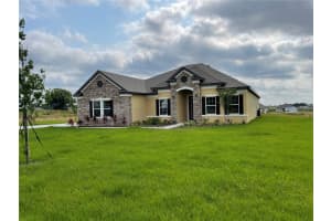 10067 DOLPHIN GULL CIRCLE, THONOTOSASSA, FL 33592 - MLS#MFRTB8471209