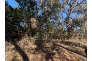 0 GLADIOLA COURT, DADE CITY, FL 33523 - MLS#MFRTB8471218