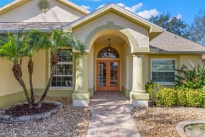 738 LAKE BOULEVARD, TARPON SPRINGS, FL 34689 - MLS#MFRTB8471221