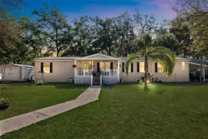 8742 Brazil, ZEPHYRHILLS