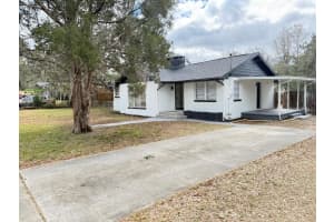 4017 E Bird St, TAMPA