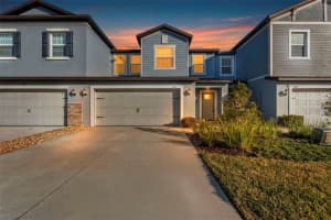 2271 CERULEAN SKY DRIVE, LUTZ, FL 33558 - MLS#MFRTB8471244