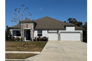 10190 Dolphin Gull Cir, THONOTOSASSA