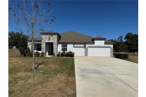 10190 DOLPHIN GULL CIRCLE, THONOTOSASSA, FL 33592 - MLS#MFRTB8471267