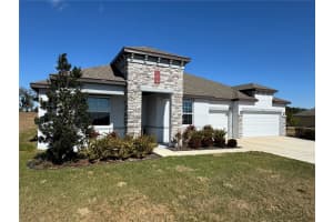 10190 DOLPHIN GULL CIRCLE, THONOTOSASSA, FL 33592 - MLS#MFRTB8471267
