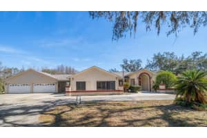 18419 TYLER ROAD, ODESSA, FL 33556 - MLS#MFRTB8471283