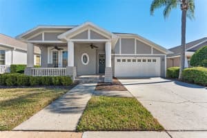 19413 GOLDEN SLIPPER PLACE, LUTZ, FL 33558 - MLS#MFRTB8471287