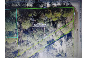 INDIGO BUNTING, WEEKI WACHEE, FL 34614 - MLS#MFRTB8471305