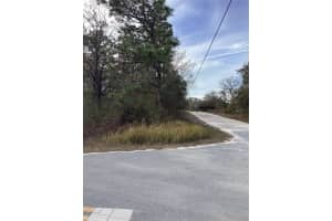 INDIGO BUNTING, WEEKI WACHEE, FL 34614 - MLS#MFRTB8471305