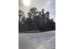 INDIGO BUNTING, WEEKI WACHEE, FL 34614 - MLS#MFRTB8471305