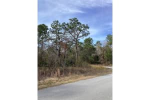INDIGO BUNTING, WEEKI WACHEE, FL 34614 - MLS#MFRTB8471305