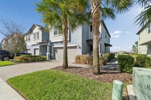 21843 ADRIATIC LANE, LAND O LAKES, FL 34637 - MLS#MFRTB8471314