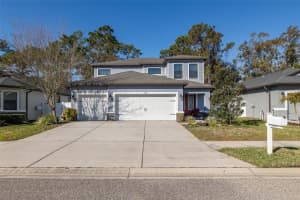 11415 Crowne Pointe St, NEW PORT RICHEY