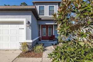 11415 CROWNE POINTE STREET, NEW PORT RICHEY, FL 34654 - MLS#MFRTB8471334