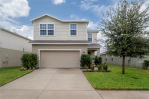 10792 Hawks Landing Dr, LAND O LAKES