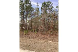 0 CHICKADEE ROAD, WEEKI WACHEE, FL 34614 - MLS#MFRTB8471437