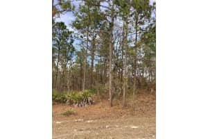 0 CHICKADEE ROAD, WEEKI WACHEE, FL 34614 - MLS#MFRTB8471437