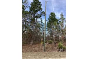 0 CHICKADEE ROAD, WEEKI WACHEE, FL 34614 - MLS#MFRTB8471437