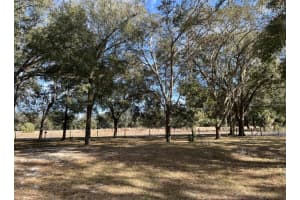5582 CR 317, BUSHNELL, FL 33513 - MLS#MFRTB8471457