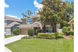 3530 Brook Crossing Dr, BRANDON