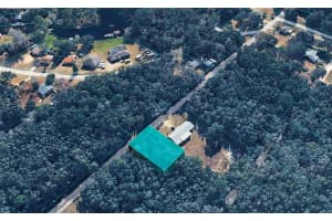 6600 PAGODA TREE TERRACE, HERNANDO, FL 34442 - MLS#MFRTB8471477