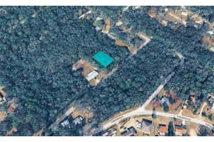 6600 PAGODA TREE TERRACE, HERNANDO, FL 34442 - MLS#MFRTB8471477