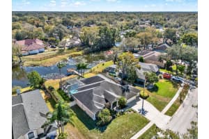 17217 TIFFANY SHORE DRIVE, LUTZ, FL 33549 - MLS#MFRTB8471494