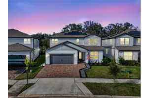17731 RAMBLE ON WAY, LAND O LAKES, FL 34638 - MLS#MFRTB8471508