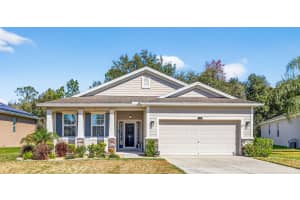 808 BRONZE BUSH COURT, PLANT CITY, FL 33566 - MLS#MFRTB8471560