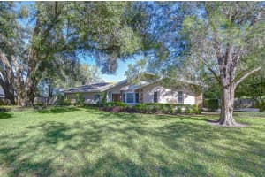 610 CHANCELLAR DRIVE, LUTZ, FL 33548 - MLS#MFRTB8471563