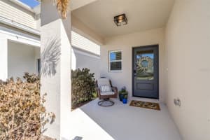 7538 WALLFLOWER TRAIL, WESLEY CHAPEL, FL 33545 - MLS#MFRTB8471593