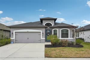 12627 VANDER WAY, NEW PORT RICHEY, FL 34654 - MLS#MFRTB8471613