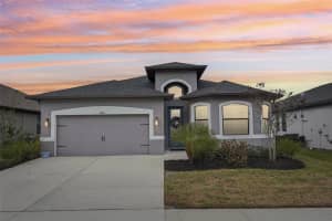 12627 VANDER WAY, NEW PORT RICHEY, FL 34654 - MLS#MFRTB8471613