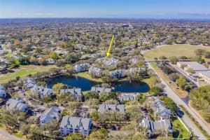 3274 HAVILAND COURT, PALM HARBOR, FL 34684 - MLS#MFRTB8471626