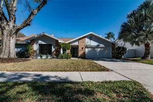 1110 WOODCREST AVENUE, SAFETY HARBOR, FL 34695 - MLS#MFRTB8471640